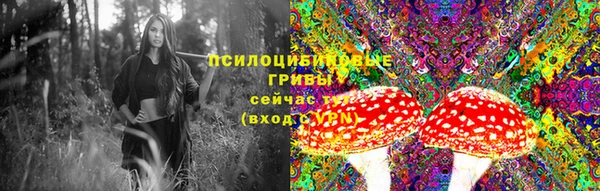 метадон Горняк