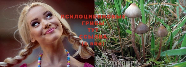 кокаин Вяземский