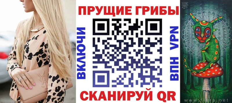 kraken вход  Новое Девяткино  Галлюциногенные грибы MAGIC MUSHROOMS 